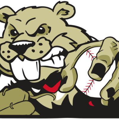 AR4 BEAVER 06 RQC Thumbnail