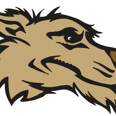 AR5 Wolf 11 RQC Thumbnail